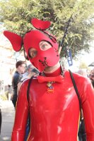 IMG_2101